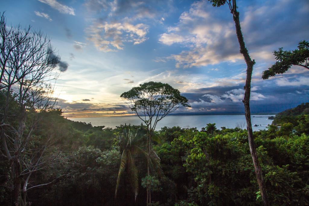 Issimo Suites (Adults Only) Manuel Antonio Exterior foto